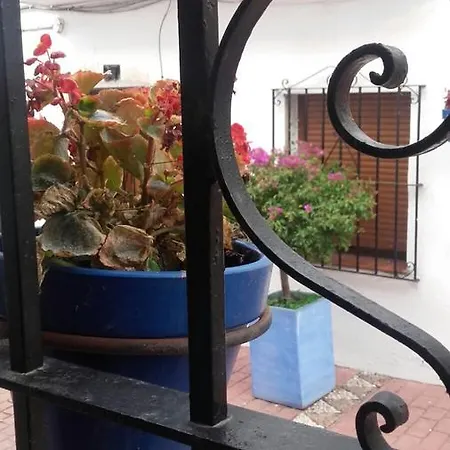 Calle Concepcion Apartament Estepona